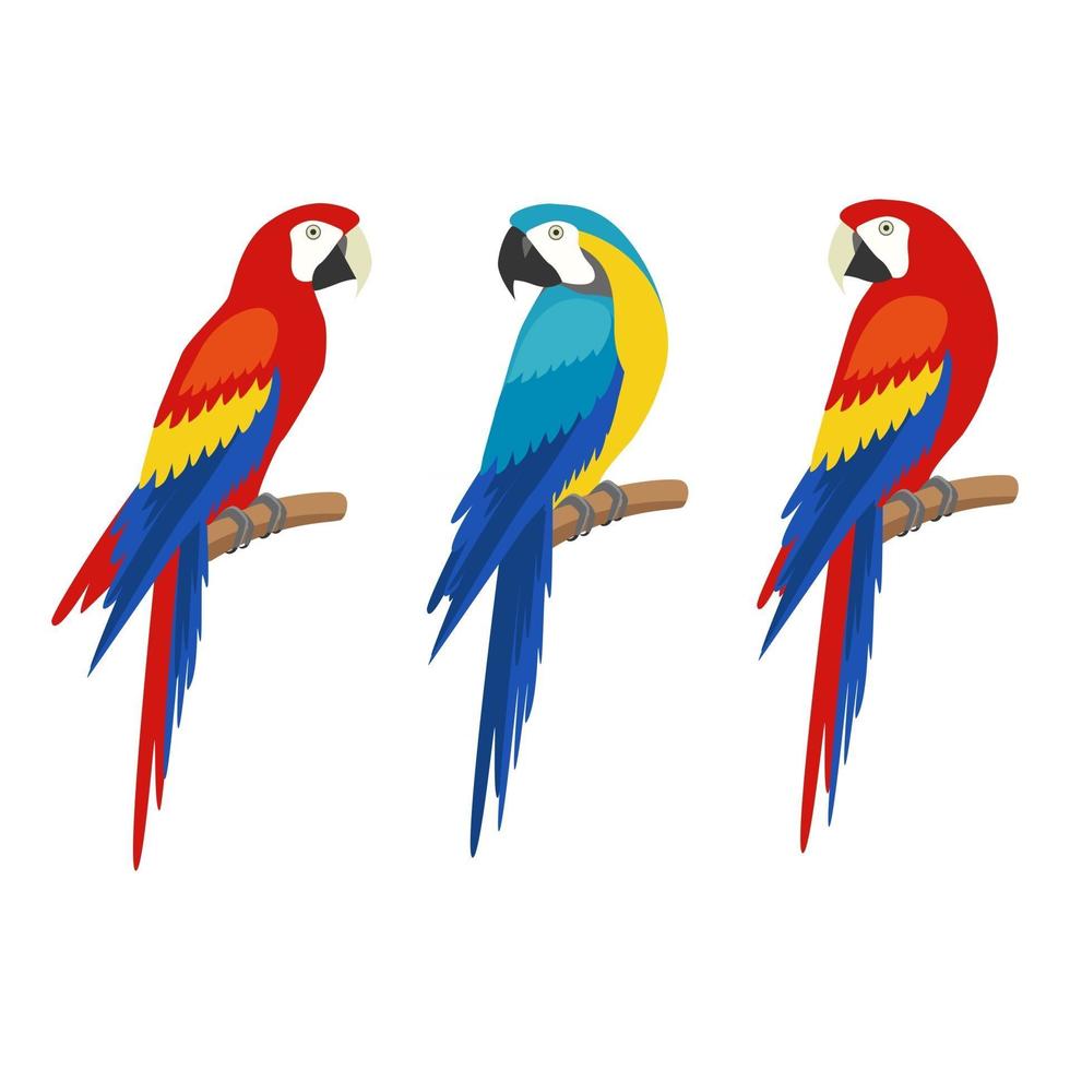 Reihe von Papageien auf weißem Hintergrund. Vektor
