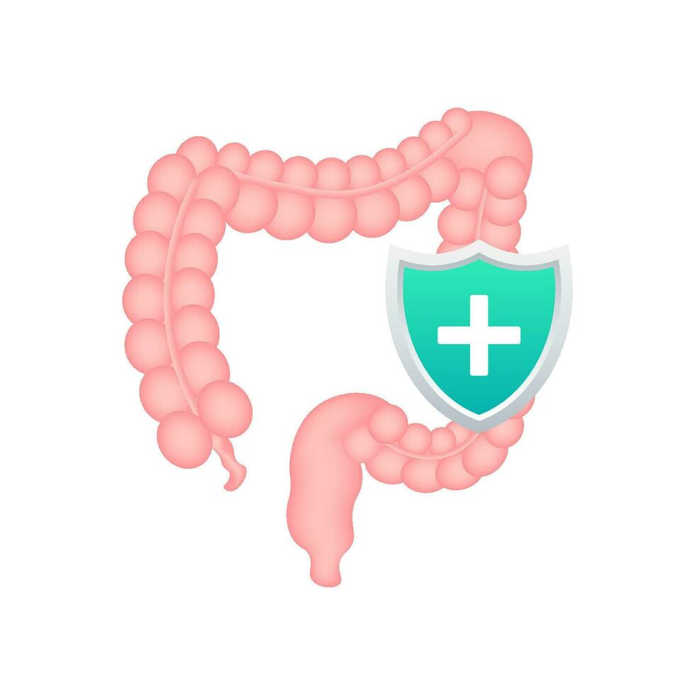 Innereien Schutz, gesund geschützt Darm. Verdauungs- System Schutz. Vektor Lager Illustration