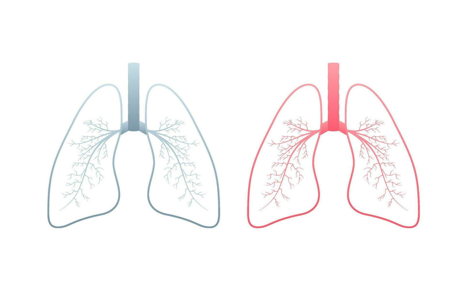 lungor, bra design för några syften. tecknad serie illustration. enkel vektor illustration.