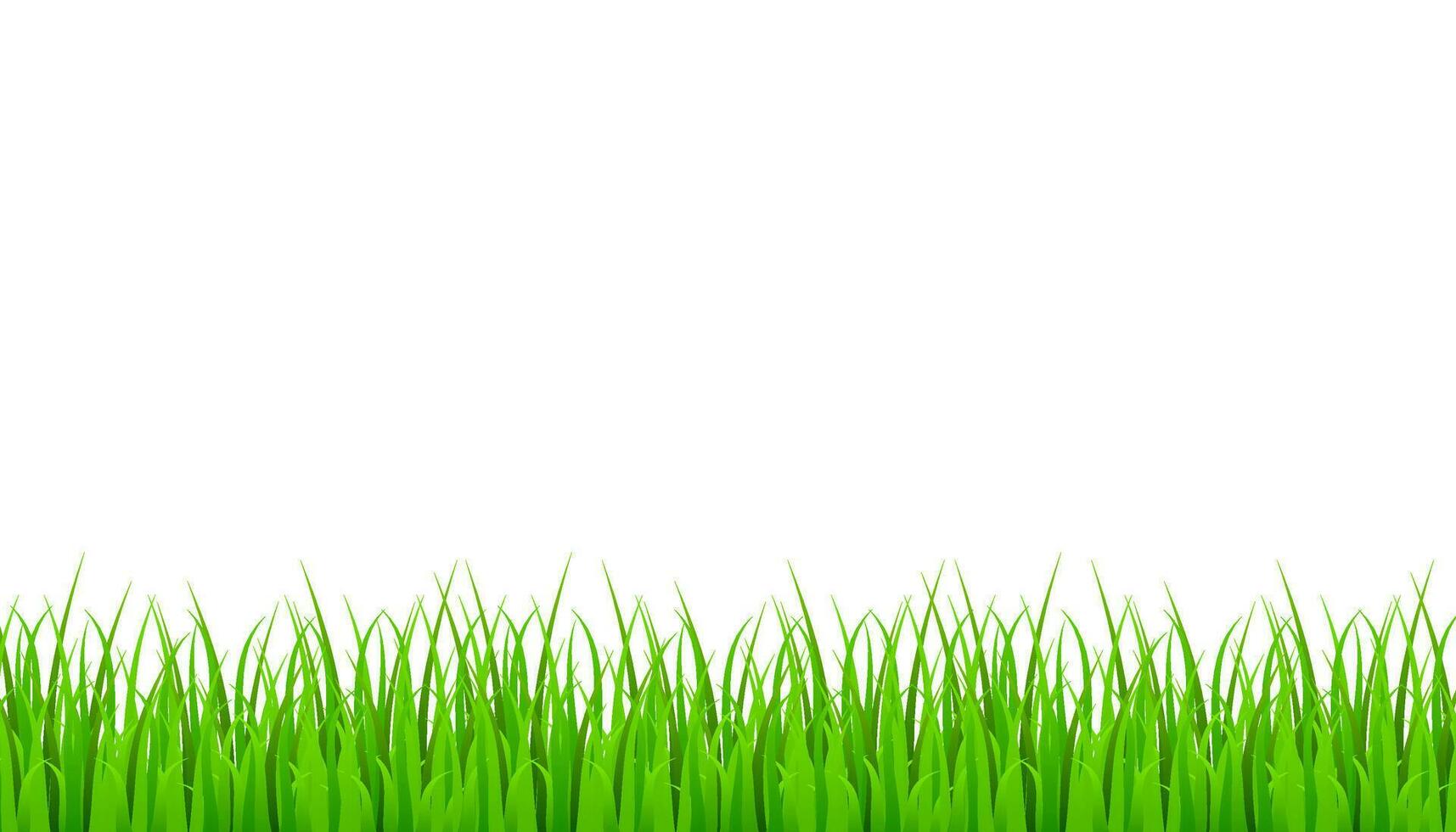 Grün Gras Wiese Rand Vektor Muster. Gras Hintergrund Vektor Lager Illustration