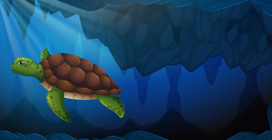 En grön havssköldpadda under vattnet vektor