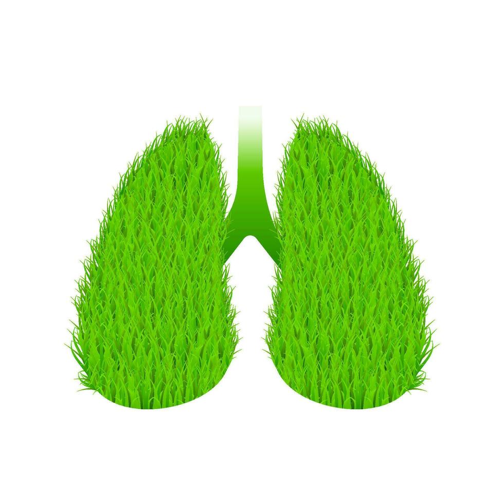 Symbol von gesund Lunge, von Grün Gras. Welt Tuberkulose Tag. Vektor Lager Illustration.