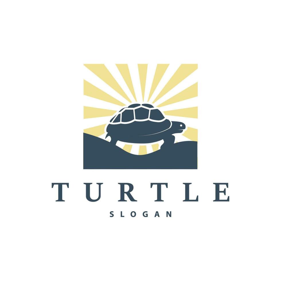 Schildkröte Logo Design Vektor Illustration Symbol Vorlage