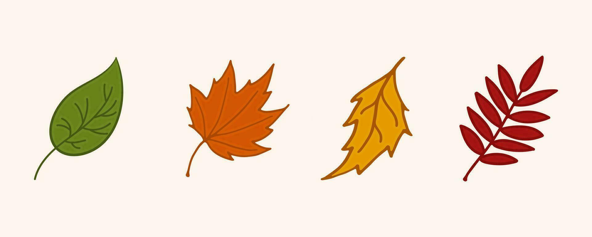 uppsättning höst löv. färgad höst löv av asp, björk, lönn, rönn. klotter vektor illustration.