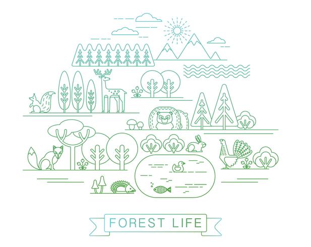 Vektor illustration av skogslivet.