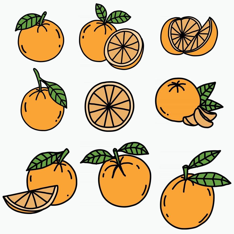 doodle frihand skissritning av orange frukt. vektor