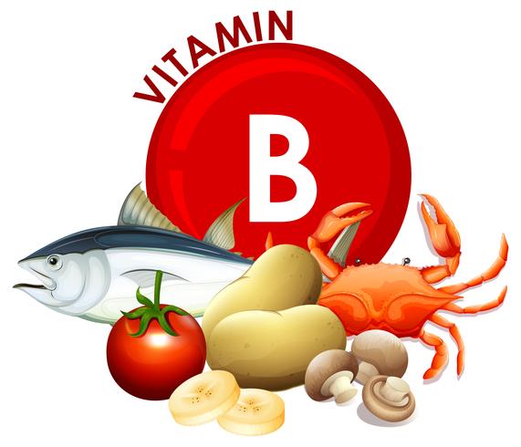 En uppsättning av vitamin B mat vektor