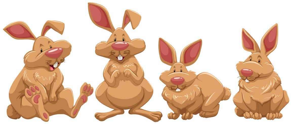Fyra kaniner med brun päls vektor