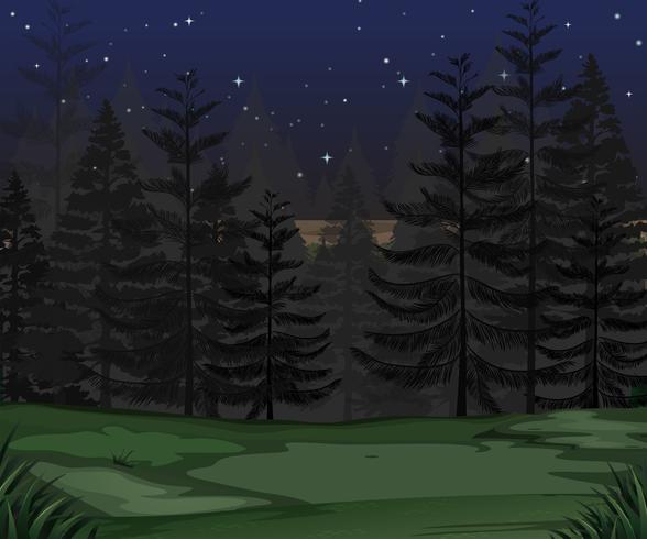 En Mystery Forest Dark Night vektor