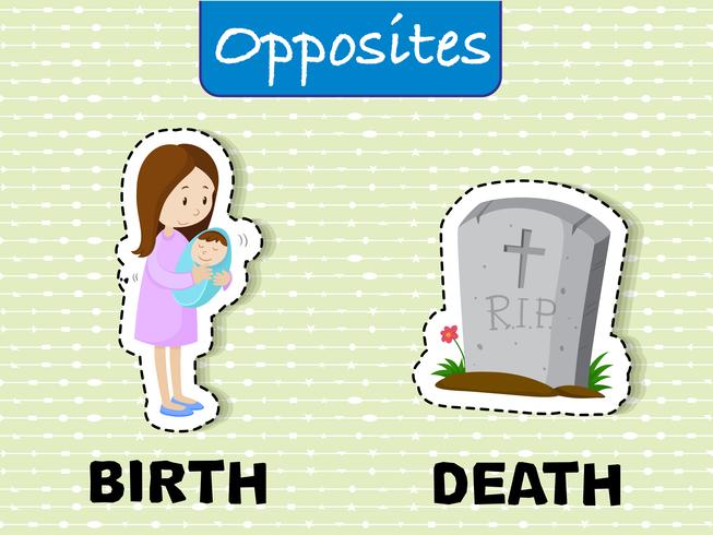 Gegensätzliche Wörter für Geburt und Tod vektor