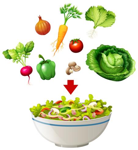 Vielzahl von Salat in eine Schüssel geben vektor