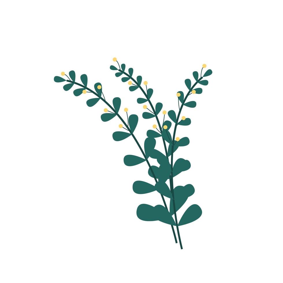 Blumenstrauß aus grünen Zweigen Blättern und kleinen gelben Knospen Illustration vektor