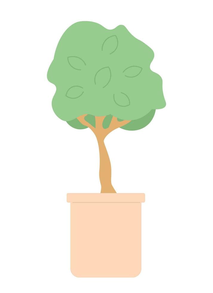 dekorativ träd i pott 2d tecknad serie objekt. växande krukväxt i blomkruka isolerat vektor Artikel vit bakgrund. inomhus- växt inlagd. dvärg- bonsai träd miniatyr- Färg platt fläck illustration