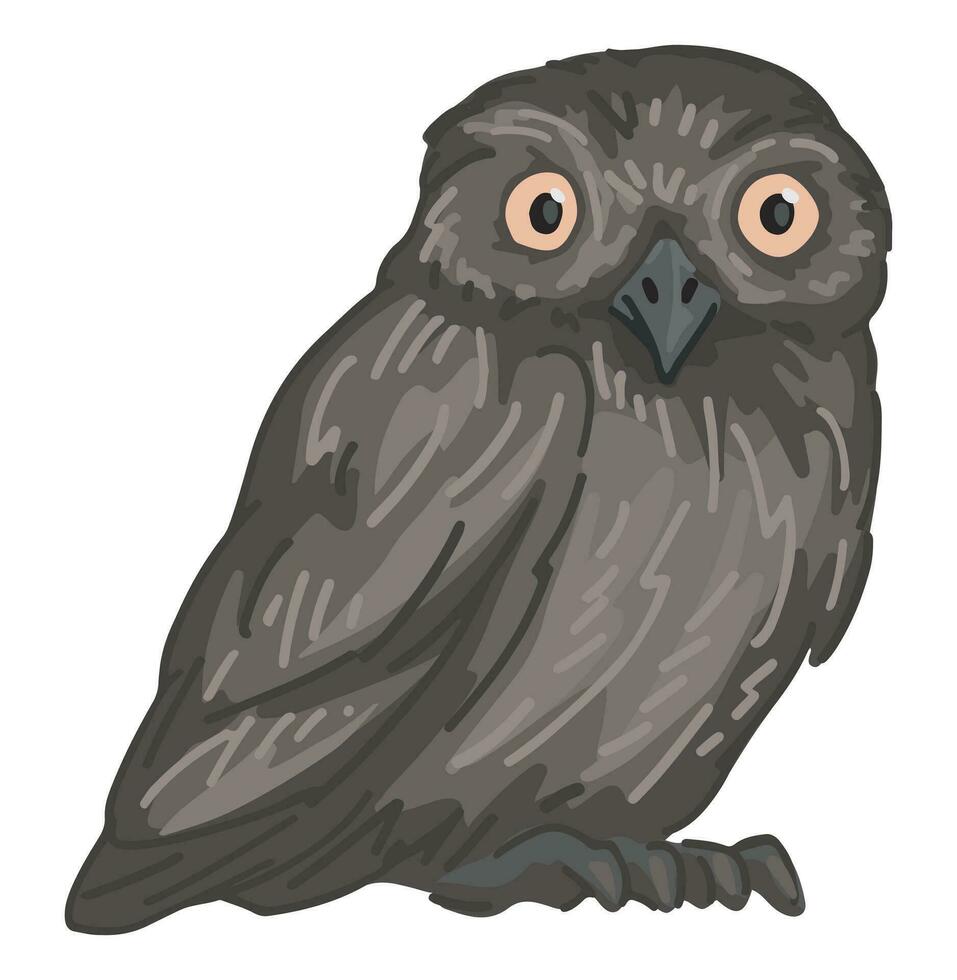 Athen Noctua Eule Clip Art im Karikatur Stil. realistisch farbig Zeichnung von nachtaktiv Vogel wild Tier. Vektor Illustration isoliert auf Weiß Hintergrund.