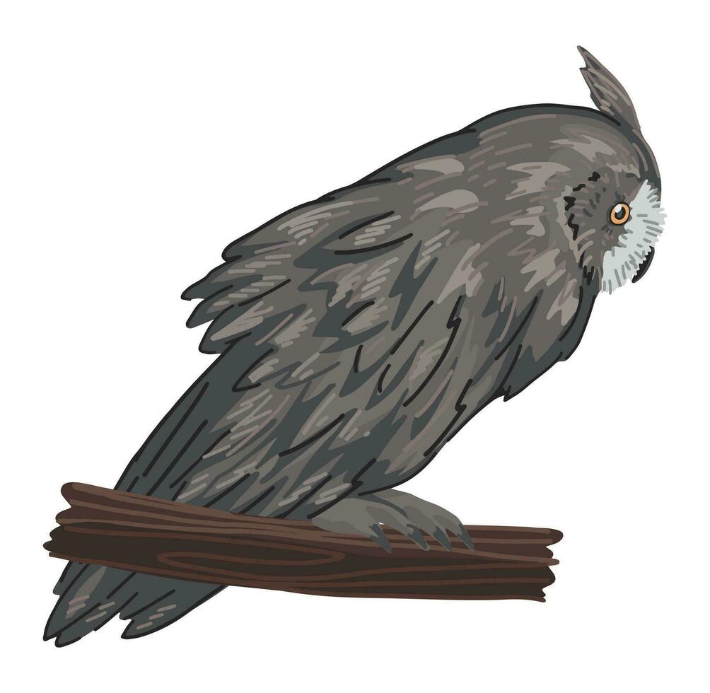 langohrig Eule Clip Art im Karikatur Stil. realistisch farbig Zeichnung von nachtaktiv Vogel wild Tier. Vektor Illustration isoliert auf Weiß Hintergrund.