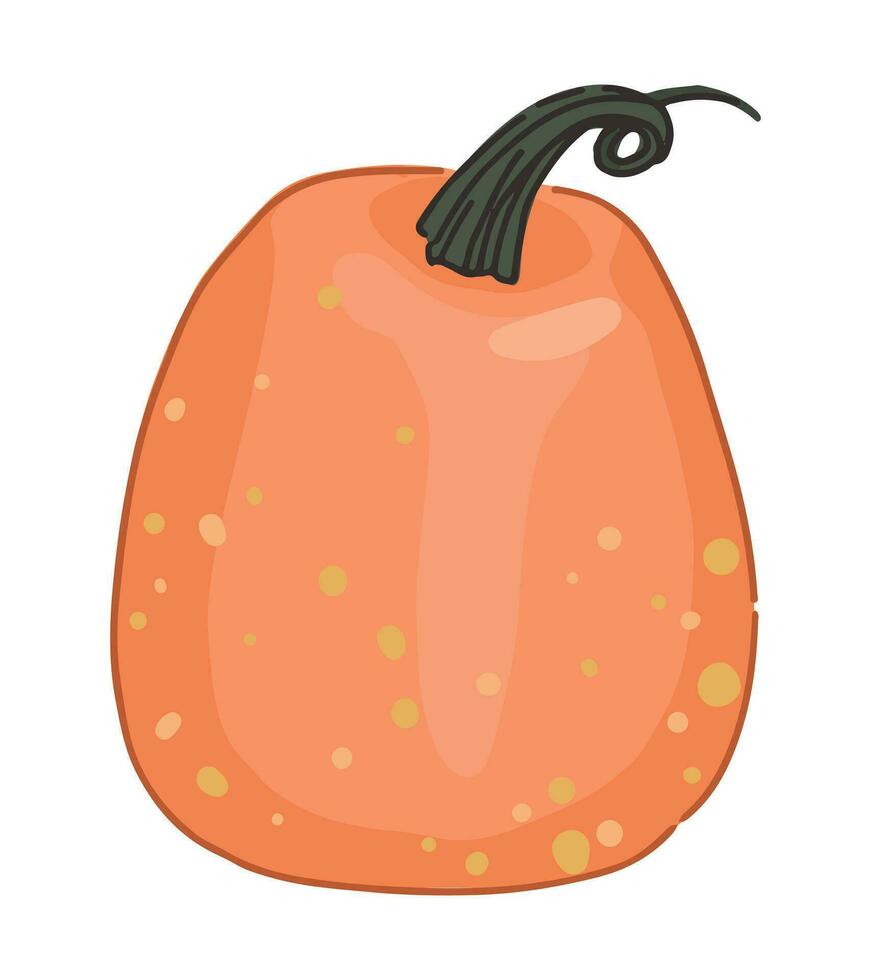 klotter av pumpa grönsak. vektor illustration i tecknad serie stil. höst säsong skörda ClipArt isolerat på vit bakgrund.