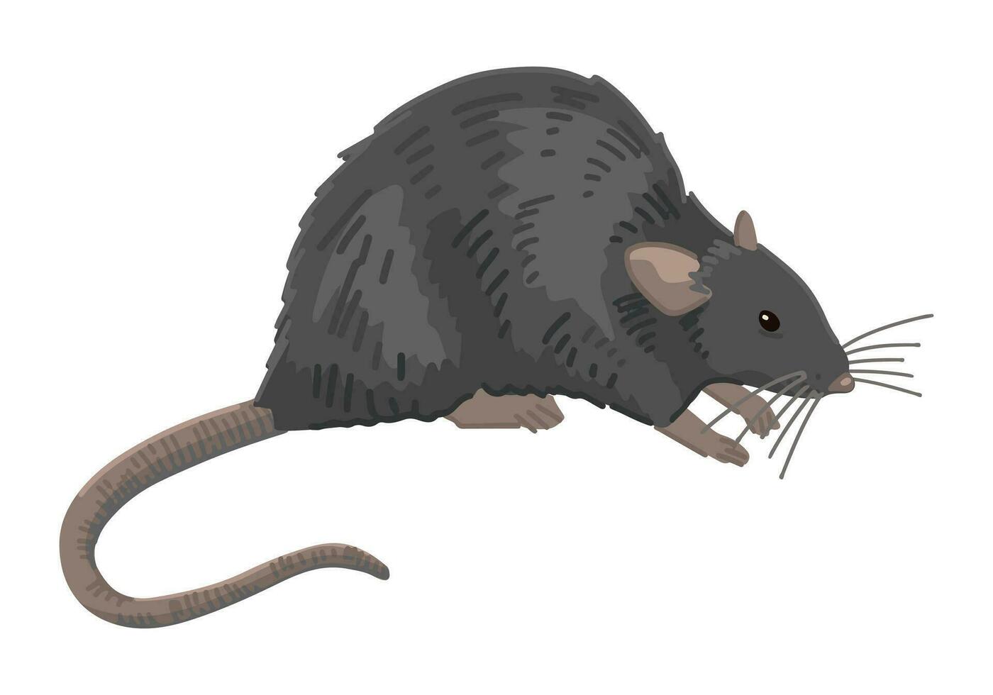 Ratte Clip Art isoliert auf Weiß. Karikatur Stil Zeichnung von Nagetier wild Tier. Halloween gruselig Fauna modern Vektor Illustration.