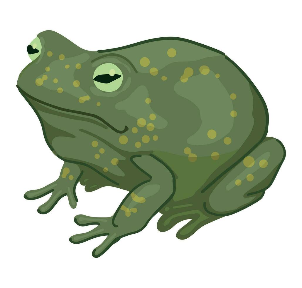 Frosch Clip Art isoliert auf Weiß. Karikatur Stil Zeichnung von Amphibie wild Tier. Halloween gruselig Fauna modern Vektor Illustration.