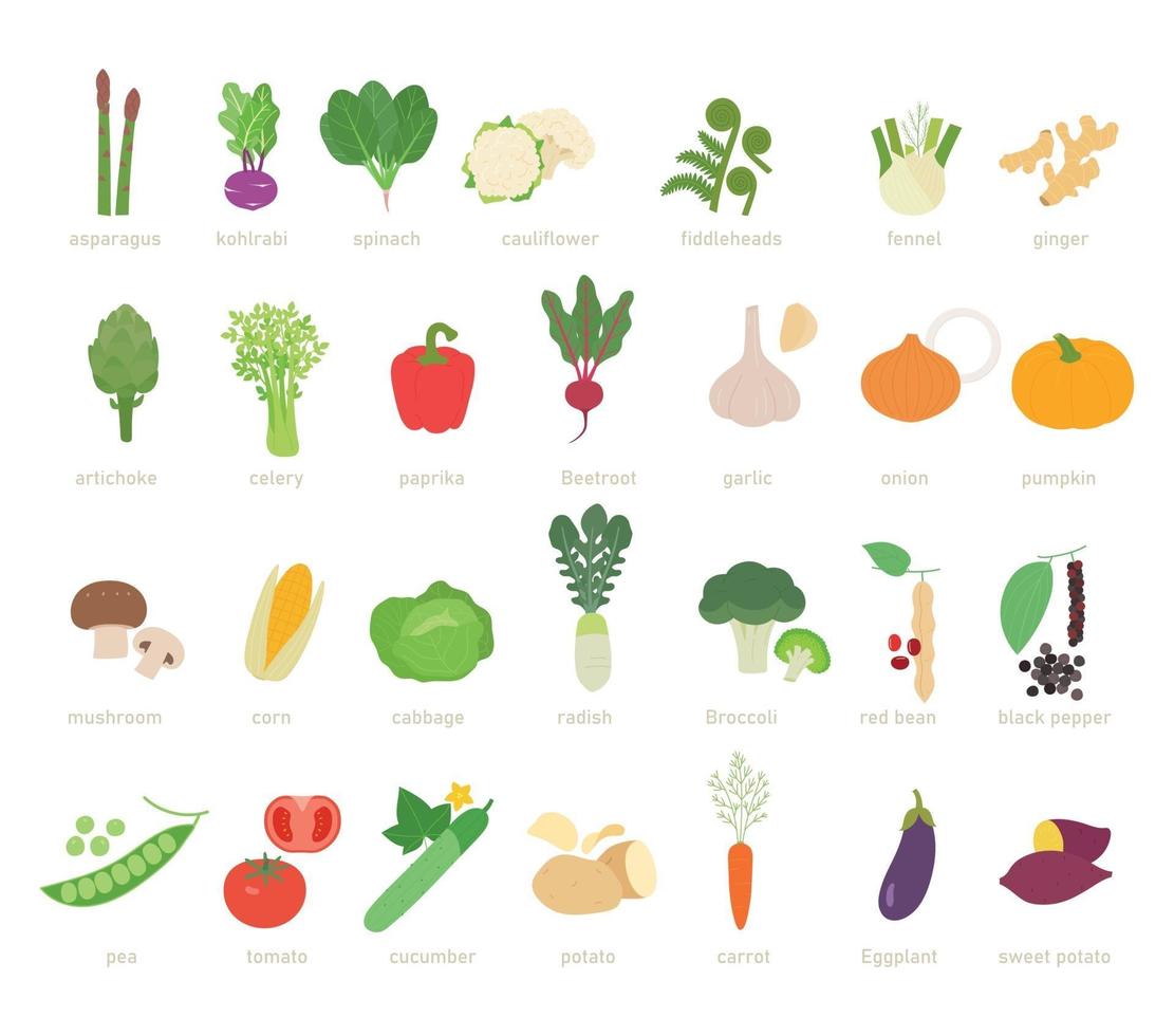 Gemüse eingestellt. minimale Vektorillustration des flachen Designstils. vektor