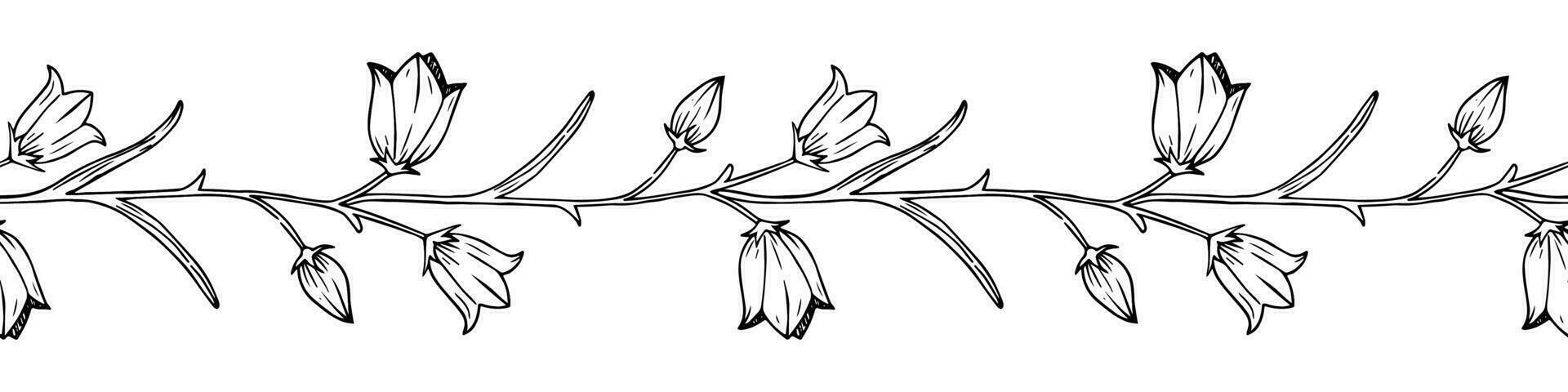 Vektor Hand gezeichnet Glockenblume und Blätter nahtlos Bürste. Wildblume im realistisch Stil. Blumen- skizzieren Muster.