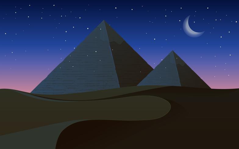 Eine Wüste bei Nacht vektor