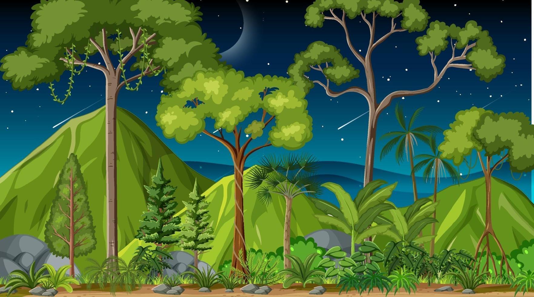 skog landskap scen på natten med många olika träd vektor