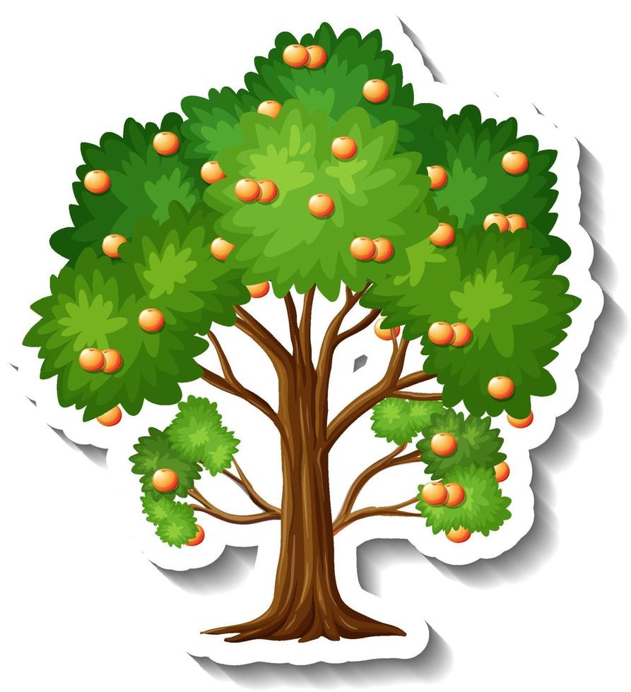 Orangenbaum-Aufkleber auf weißem Hintergrund vektor