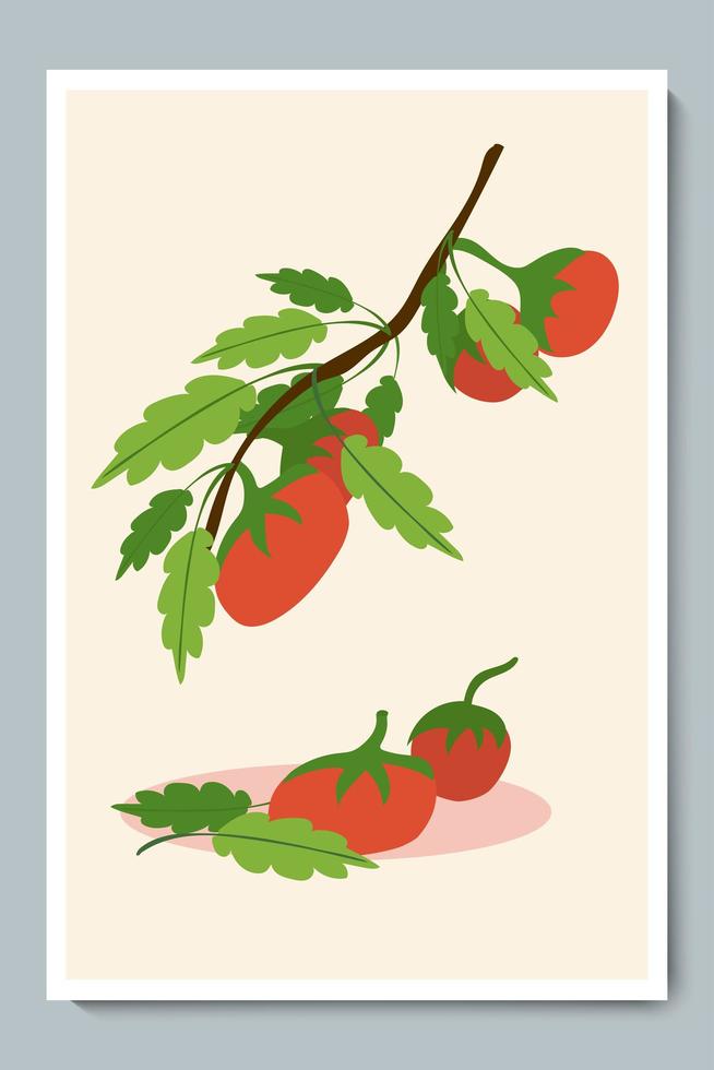 Satz frische Tomaten auf Zweig. Blätter. einfaches flaches Gemüse. vektor