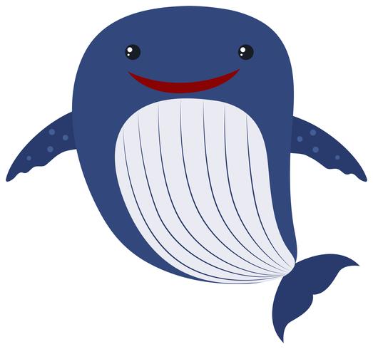 Blauer Wal auf weißem Hintergrund vektor
