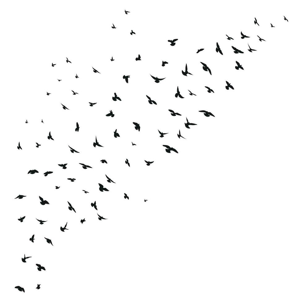 skizzieren Zeichnung von ein Silhouette von ein Herde von Vögel fliegend nach vorne. abheben, fliegend, Flug, flattern, schweben, hochfliegend, Landung vektor