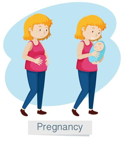 Graviditet Kvinna och Baby på vit bakgrund vektor