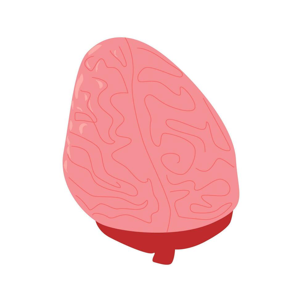 mänsklig hjärna vektor illustration i en platt stil