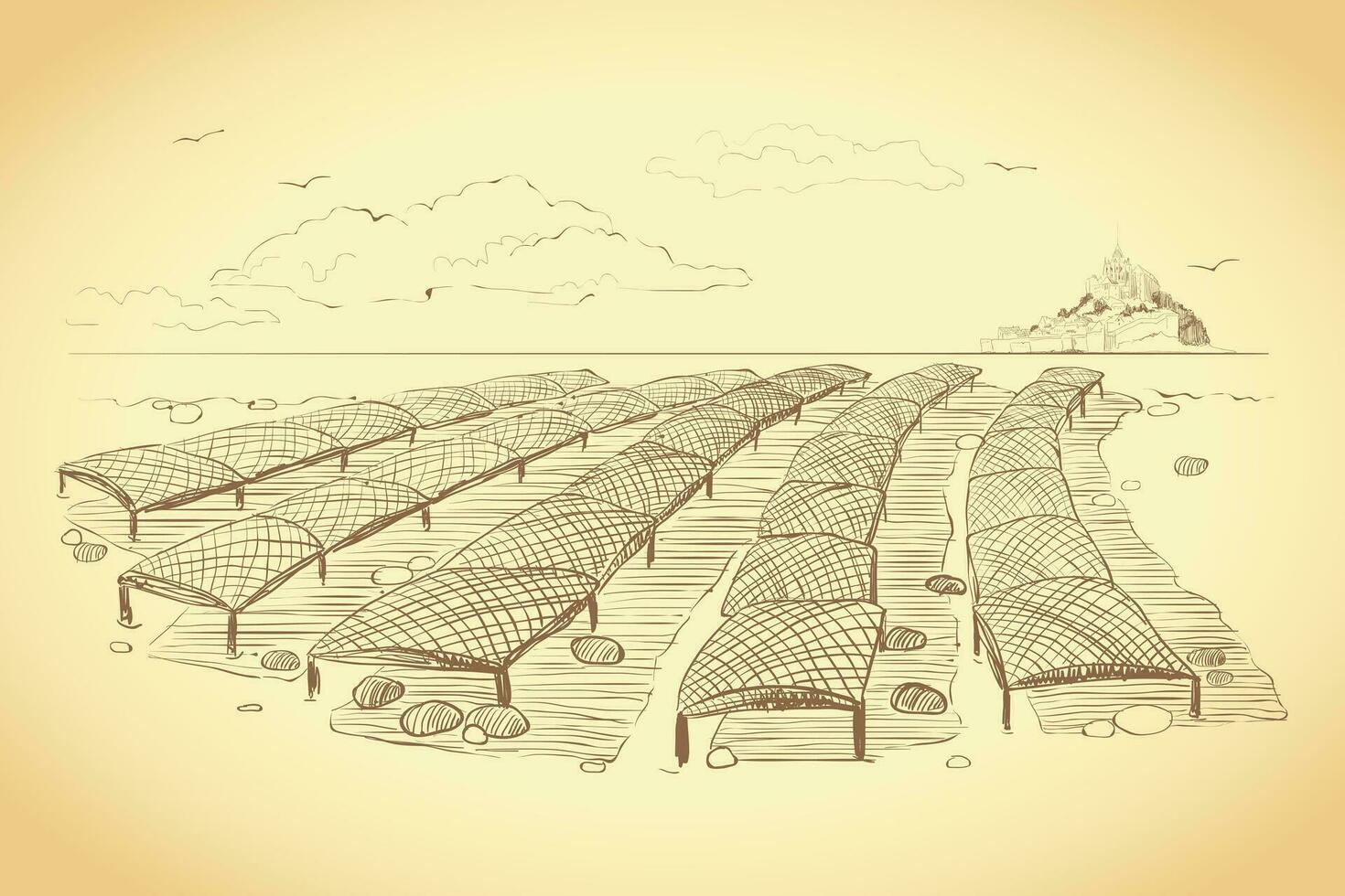 skaldjur jordbruk. illustration av de norman metod av växande ostron. vektor grafik av ett ostron bruka i san miguel bukt. årgång teckning i de stil av gravyr