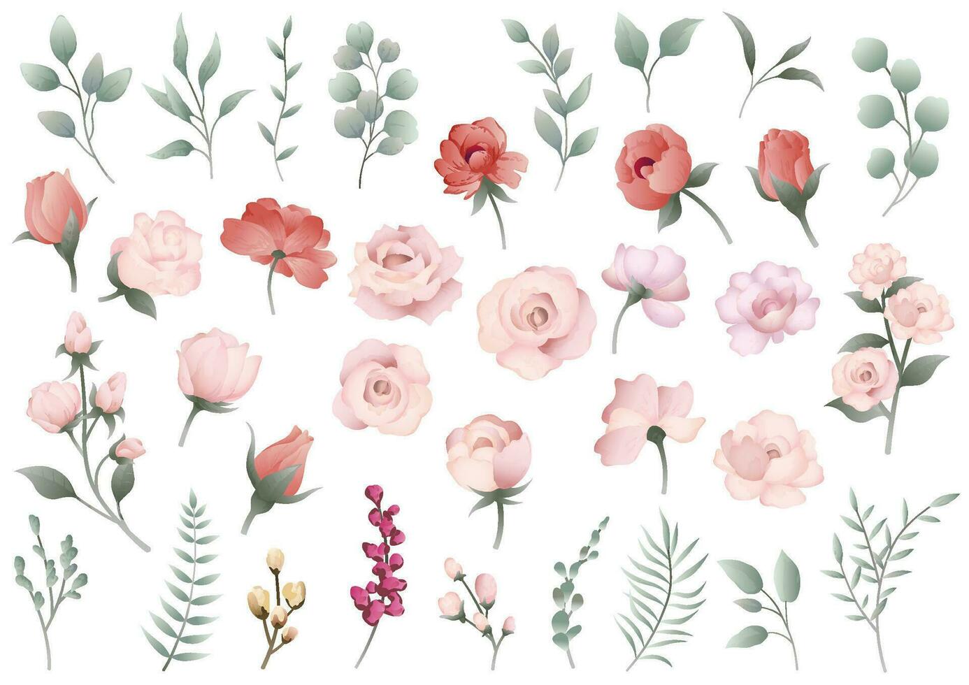 Vektor Blumen- Element Illustration einstellen isoliert auf ein Weiß Hintergrund.