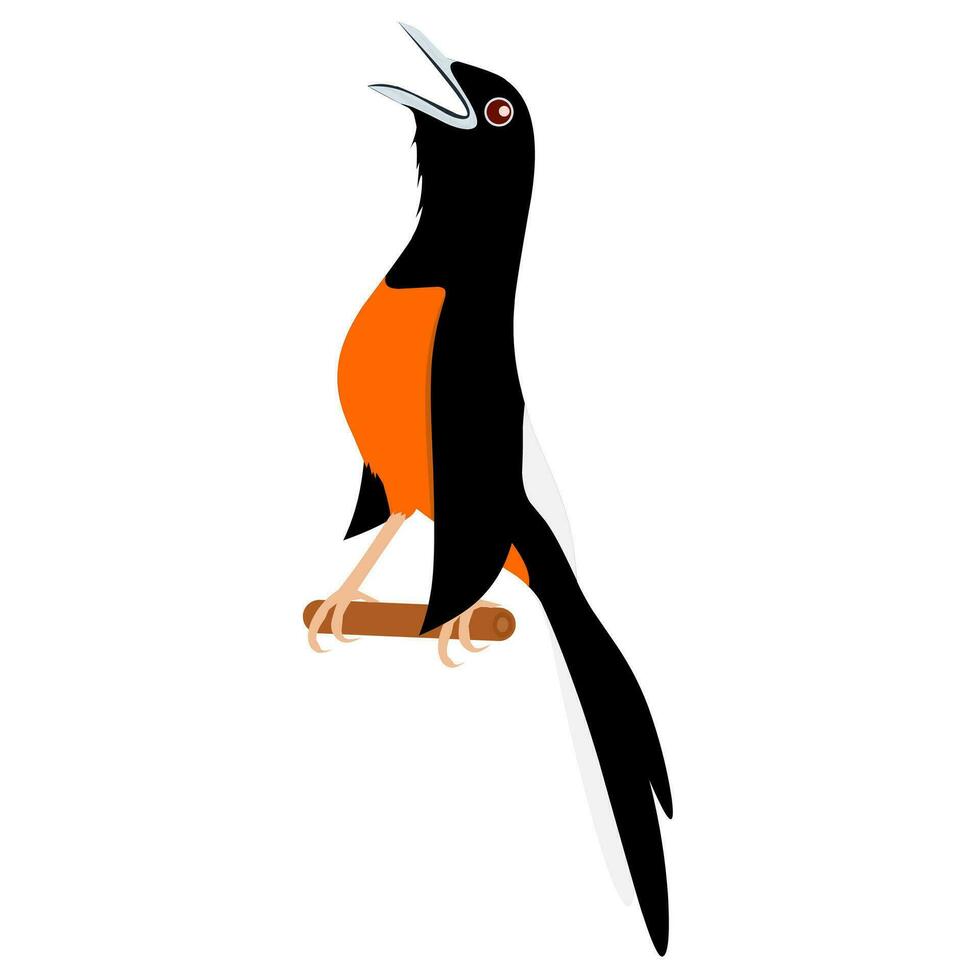 murai batu Illustration Vektor Grafik. öffnen das Schnabel. geeignet zum Vogel Logo Design.
