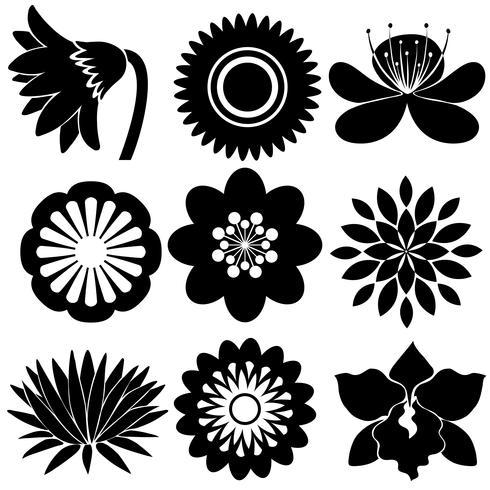 Blomstrande mönster i svarta färger vektor