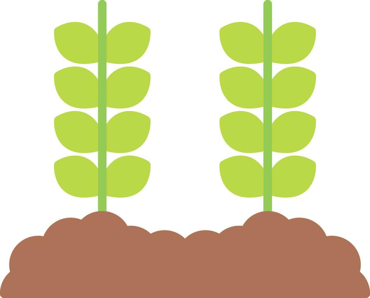 Weizen Plantage Vektor Symbol