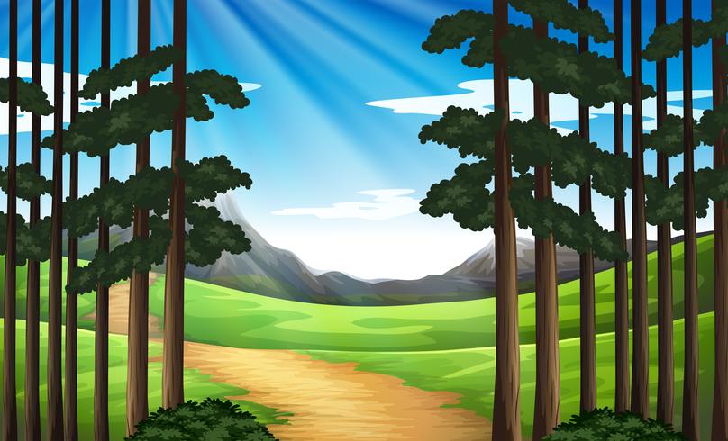 Bakgrundsscen med vandringsspår i skogen vektor