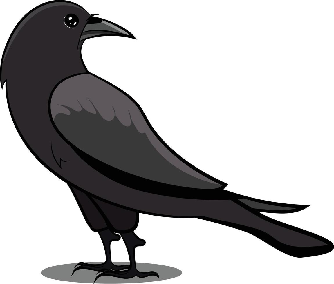 svart kråka med skugga. svart fågel. vanliga fåglar. vektor