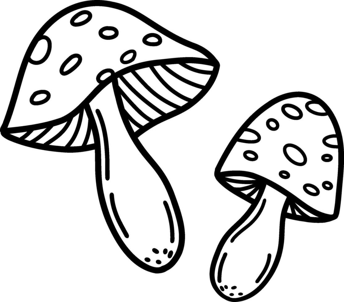 flyga agaric, icke ätbar giftig skog svamp skiss vektor illustration isolerat. vektor illustration