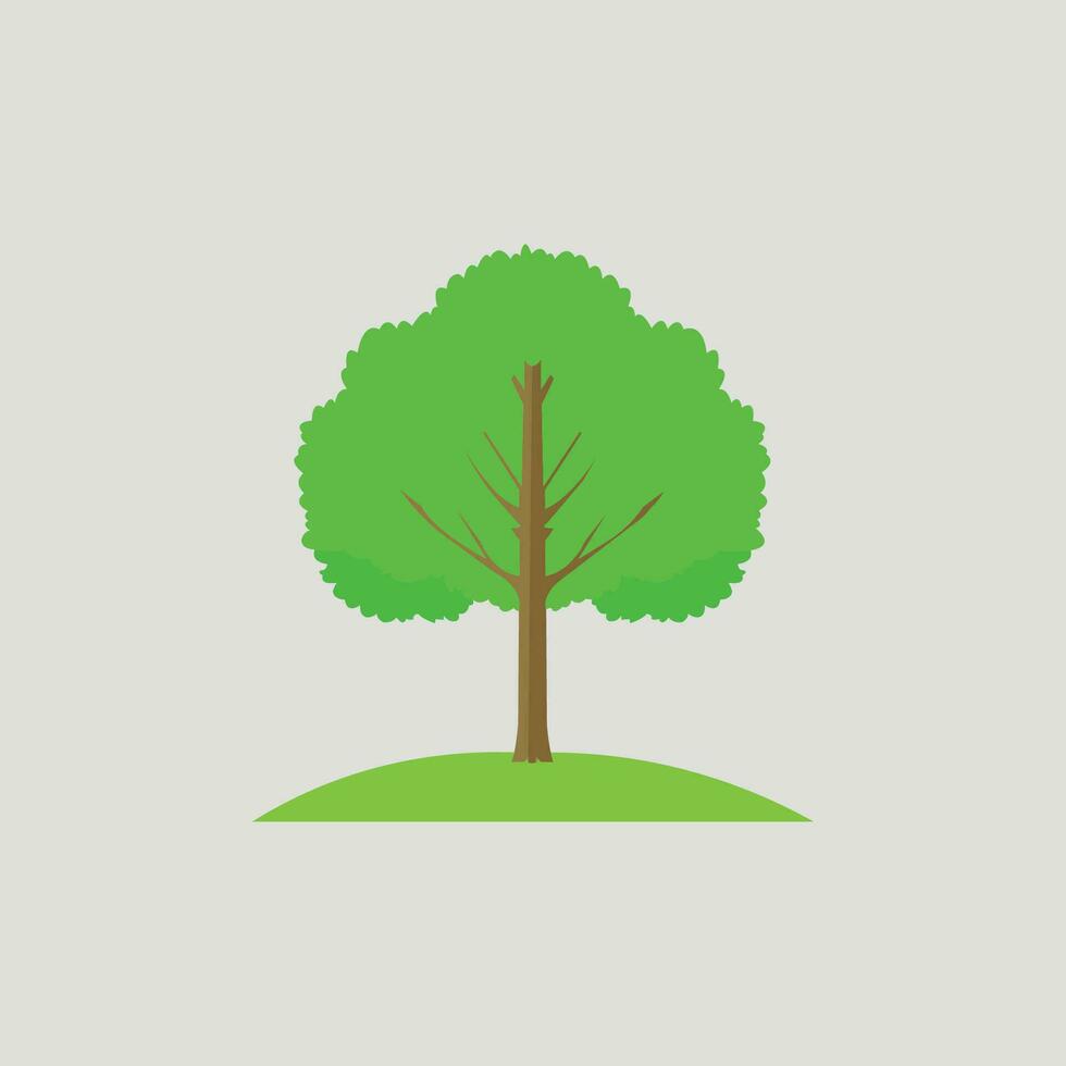 Vektor von Vielfalt Pflanzen und Bäume