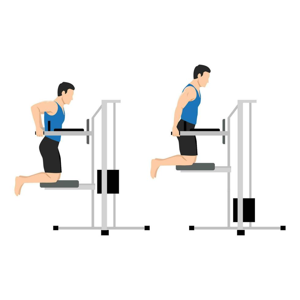 Mann tun Dips auf parallel Riegel im das Fitnessstudio Übung. vektor