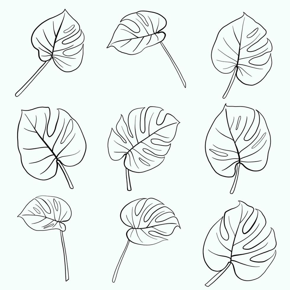 einfachheit monstera blatt freihand kontinuierliche linienzeichnung flaches design. vektor