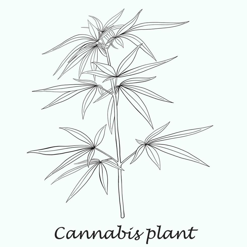 enkelhet cannabisväxt frihandsritning platt design. vektor