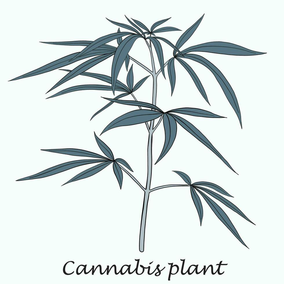 enkelhet cannabisväxt frihandsritning platt design. vektor