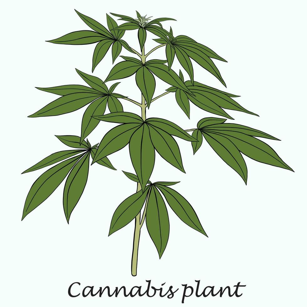 enkelhet cannabisväxt frihandsritning platt design. vektor