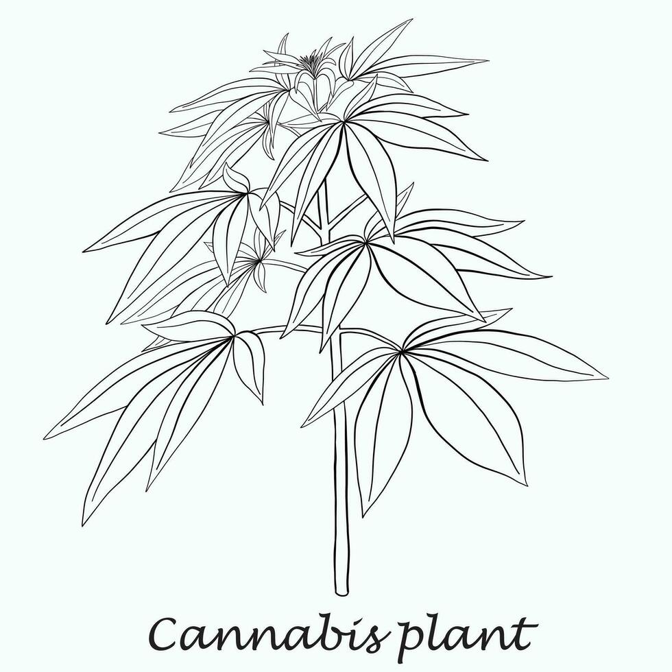 enkelhet cannabisväxt frihandsritning platt design. vektor