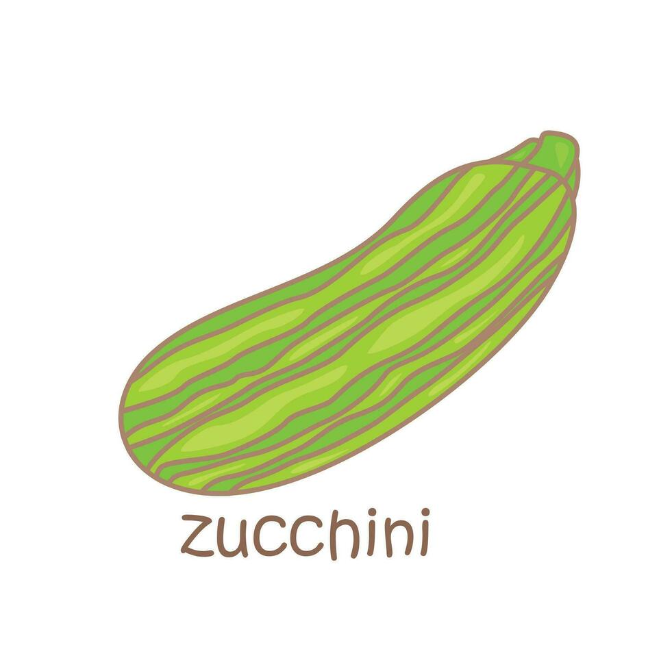 alfabet z för zucchini ordförråd skola lektion tecknad serie illustration vektor ClipArt klistermärke