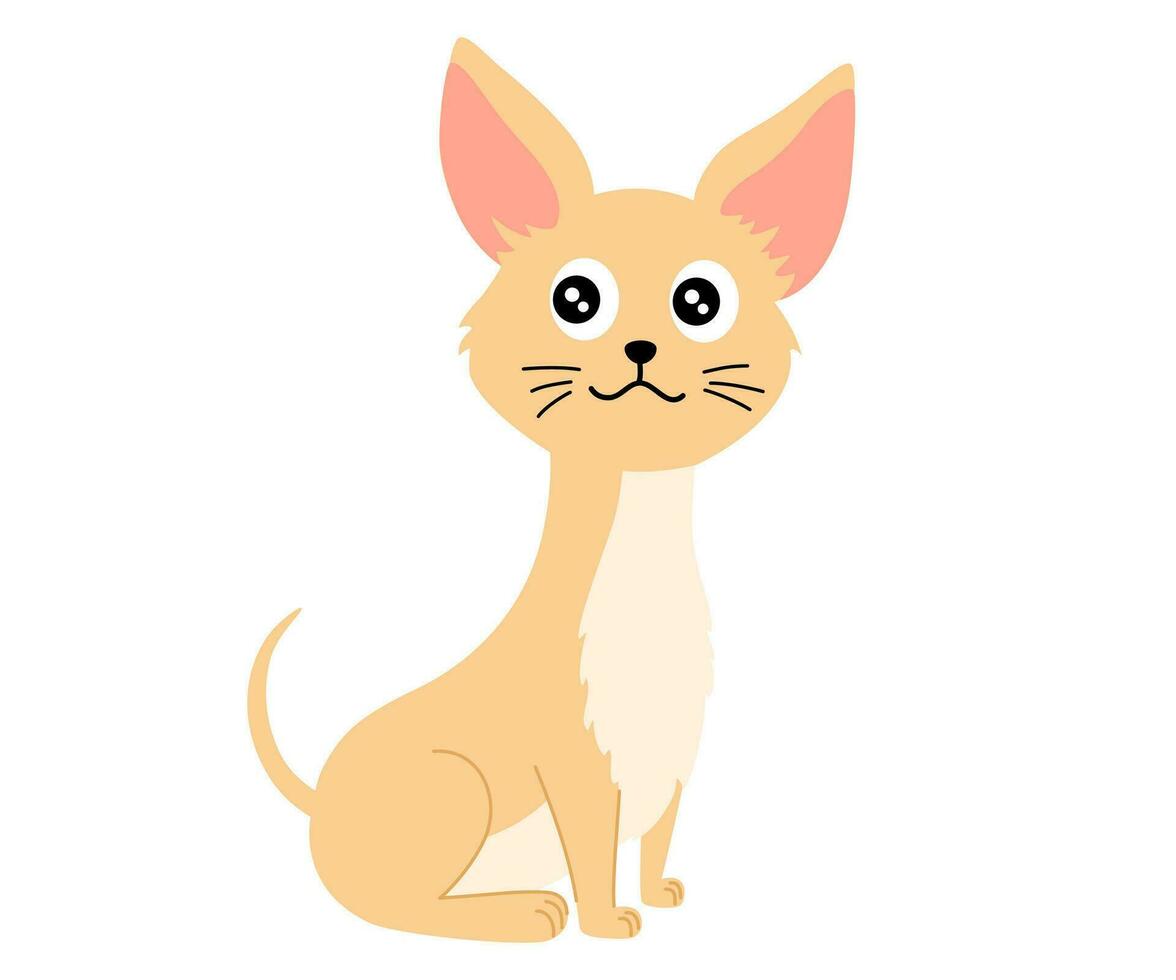 Chihuahua Hund. Haustiere, Tiere, Eckzahn Thema Design Element im zeitgenössisch einfach eben Stil. Vektor Karikatur Illustration isoliert auf das Weiß Hintergrund.