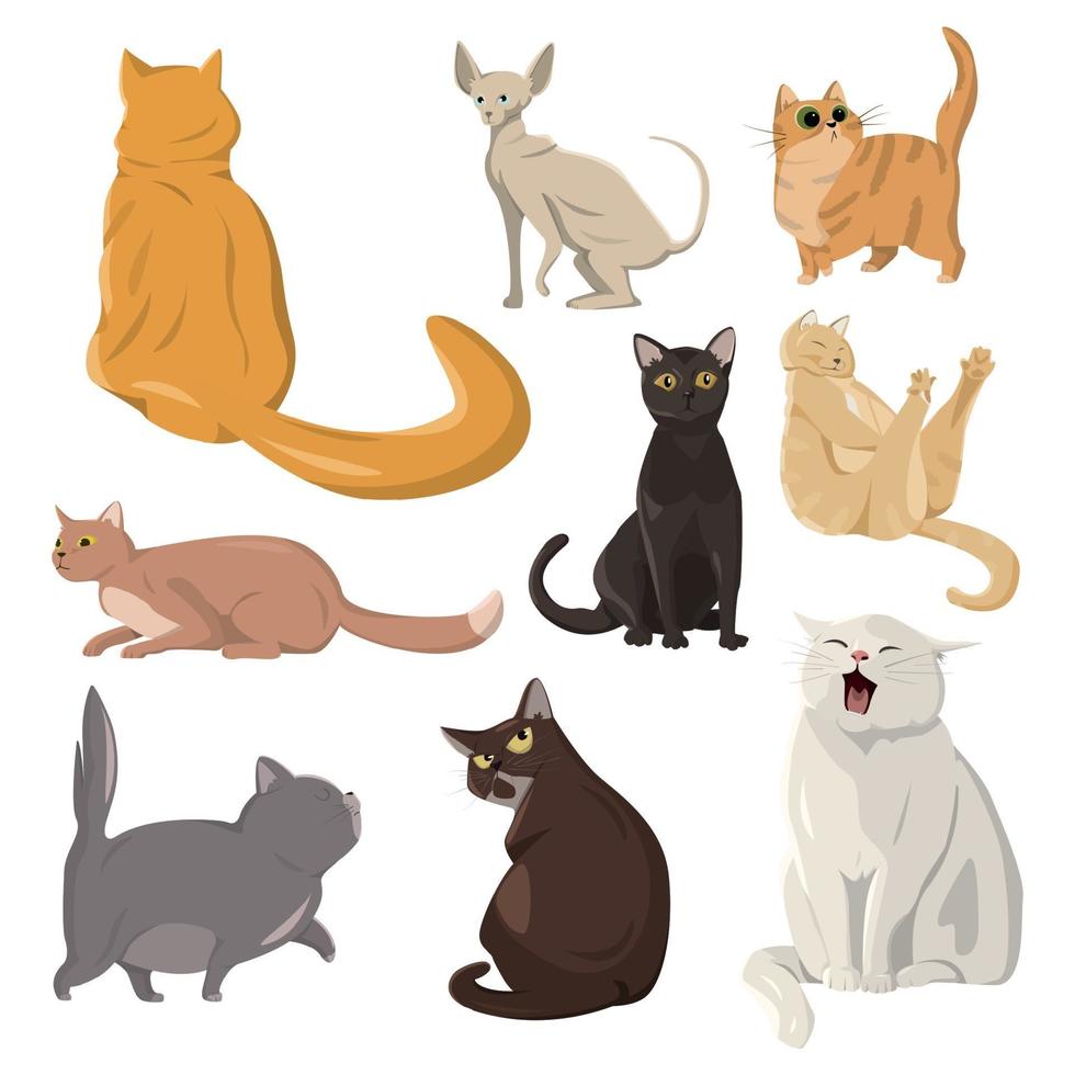 eine Auswahl von neun realistischen Katzen auf weißem Hintergrund - Vektor